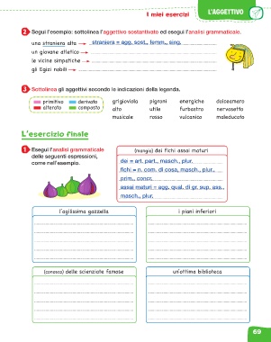 Page Investigatesto Grammatica